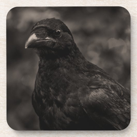 Die Suche Untersetzer (Vorderseite)