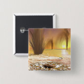 Die südliche Eismauer am Mars Button (Vorne & Hinten)