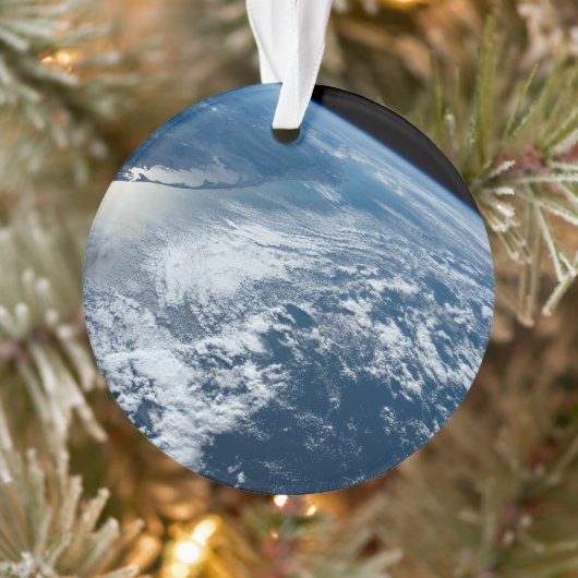 Die Südspitze Brasiliens grenzt an Uruguay. Ornament (Baum)