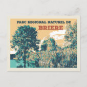 Die Sümpfe des Regionalparks Briere France Postkarte (Vorderseite)
