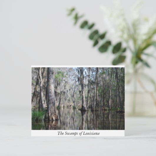 Die Sümpfe Louisianas Postkarte (Stehend Vorderseite)