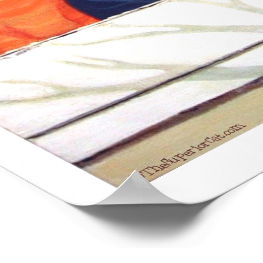 Die SuperiorCat - Innenausblick Poster (Ecke)