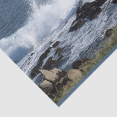 Die Surfanlage im Pazifischen Ozean Seidenpapier (Ausschnitt)