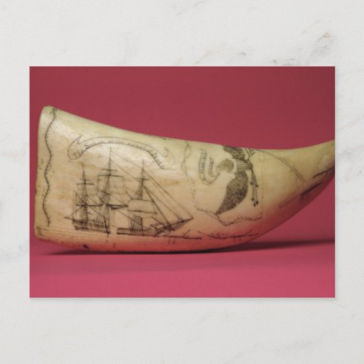 Die Susan an der Küste von Japan' Scrimshaw Postkarte (Vorderseite)