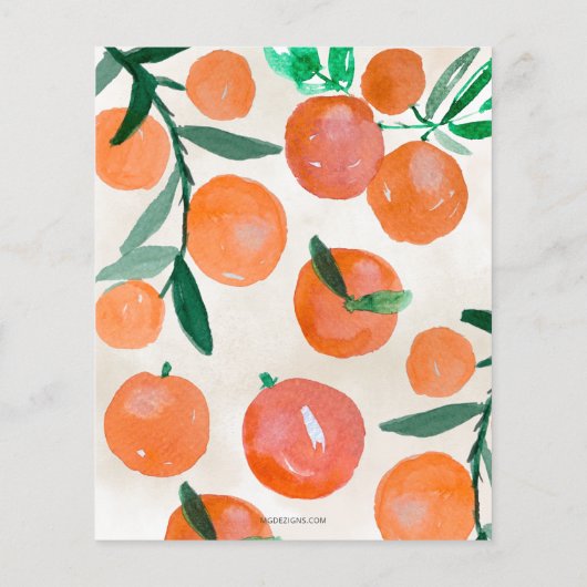 Die Süsse des Budgets ist auf dem Weg zur Orangen (Rückseite)