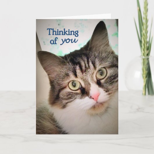 Die süßen Ausdrücke, die an Sie denken, kardieren Karte (Vorderseite)