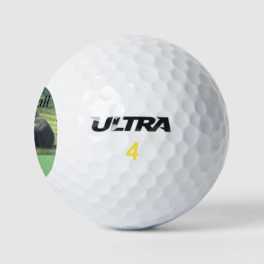 Die Sutter Buttes Mountain bietet den Bull Foto Go Golfball (Logo)