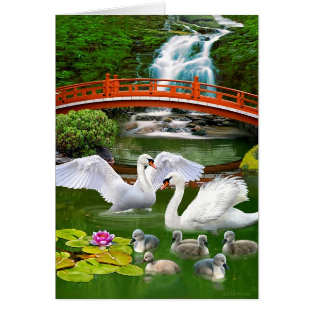 DIE SWAN FAMILIE (Vorne)