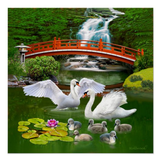 DIE SWAN FAMILIE POSTER (Vorderseite)