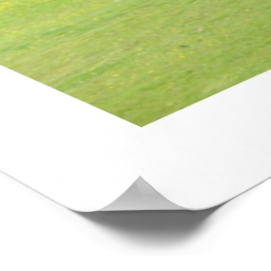 Die Swing Poster (Ecke)