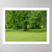 Die Swing Poster (Vorne)