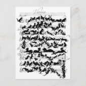 Die Symphonie der Chate Postkarte (Vorderseite)