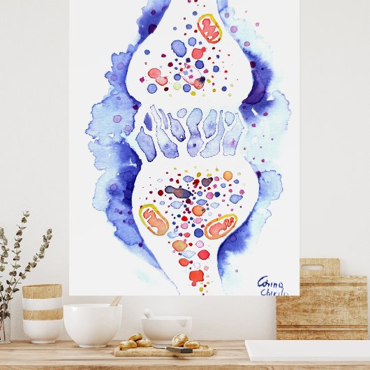 Die Synapse und der Nervenimpuls Poster (Küche)