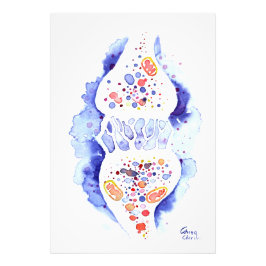 Die Synapse und die Nervenimpulse-Leinwand drucken Fotodruck