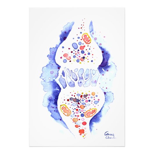 Die Synapse und die Nervenimpulse-Leinwand drucken Fotodruck (Vorne)