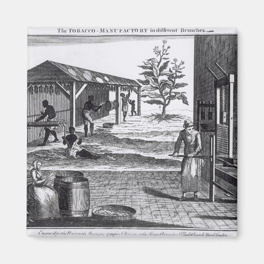 Die Tabakindustrie in verschiedenen Branchen Magnet (Vorne)