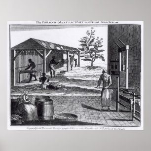 Die Tabakindustrie in verschiedenen Branchen Poster