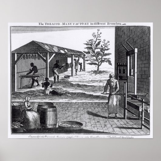 Die Tabakindustrie in verschiedenen Branchen Poster (Vorne)