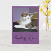 Die Tabbykatze, die an Sie denkt, kardieren Karte (Gelbe Blume)