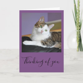 Die Tabbykatze, die an Sie denkt, kardieren Karte