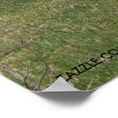 DIE TÄGLICHE LLAMA POSTER (Ecke)