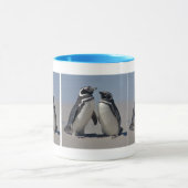 Die Tasse am Strand (Zentrum)