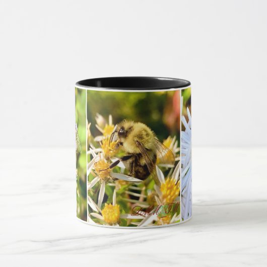 Die Tasse der Biene. (Zentrum)