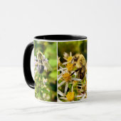 Die Tasse der Biene. (Vorderseite Links)