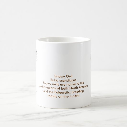 Die Tasse der Schneevögel (Mittel)