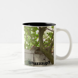 Die Tasse des Eichhörnchen-Liebhabers