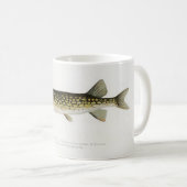 Die Tasse des Pickerel Fisherman (VorderseiteRechts)