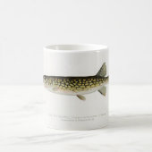 Die Tasse des Pickerel Fisherman (Mittel)