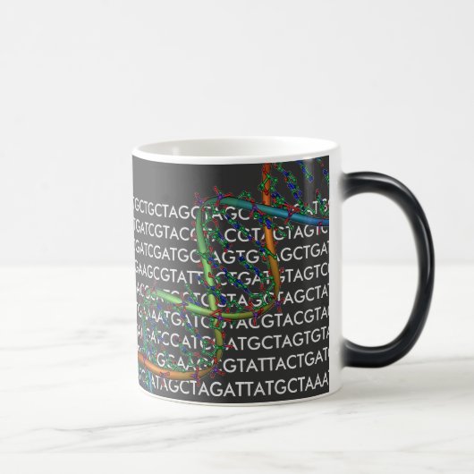 Die Tasse DNA (Rechts)
