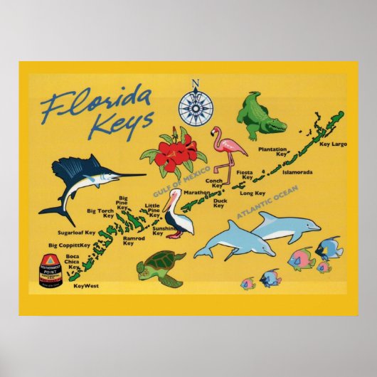 Die Tasten der Florida Poster (Vorne)