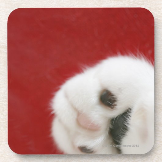 Die Tatze der Katze Untersetzer (Vorderseite)