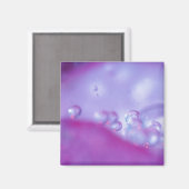 Die Taube fällt abstrakt auf die Blume. Gutschrift Magnet (Vorderseite/Rückseite)