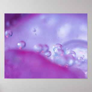 Die Taube fällt abstrakt auf die Blume. Gutschrift Poster