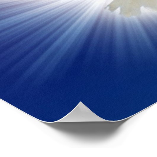 die Taube im Licht Poster (Ecke)