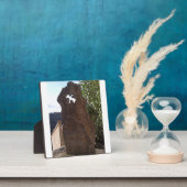 Die Taube von Pierre Fotoplatte (InSitu)
