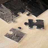 Die Taube von Pierre Puzzle (Seite)