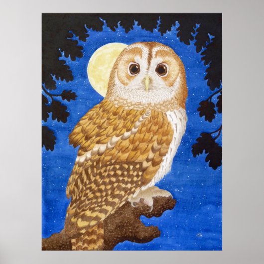 Die Tawny Owl Poster (Vorne)