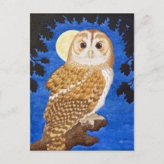 Die Tawny Owl Postkarte