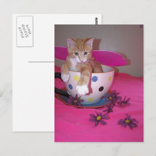 Die Teebecherfee Postkarte (Vorne/Hinten)