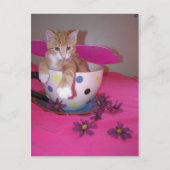 Die Teebecherfee Postkarte (Vorderseite)