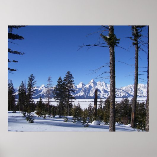 Die Tetons im Februar Poster (Vorne)