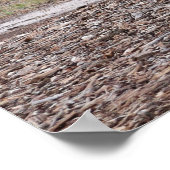 Die Texas A&M Bäume Poster (Ecke)