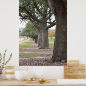Die Texas A&M Bäume Poster (Küche)