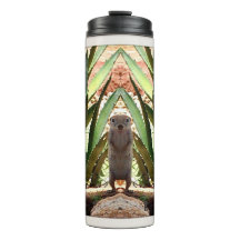 "Die thermische Getränk-Trommel König-"