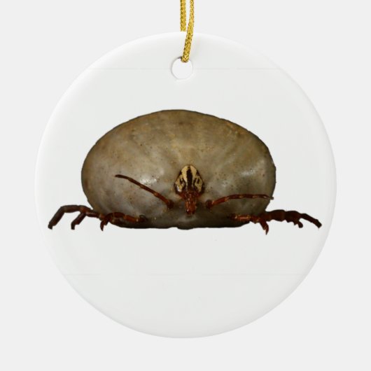Die Tick Keramik Ornament (Vorne)