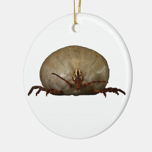 Die Tick Keramik Ornament (Links)